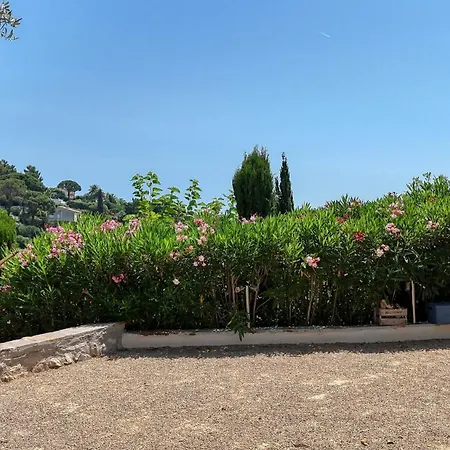 Villa Villa